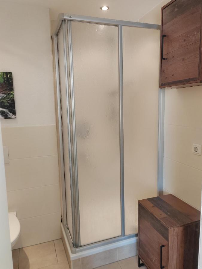 Ferienwohnung Elbtraum بيرنا المظهر الخارجي الصورة