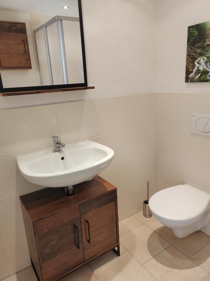 Ferienwohnung Elbtraum بيرنا المظهر الخارجي الصورة